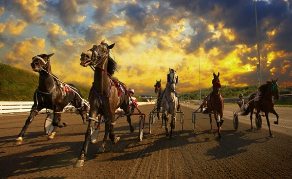 Photograph Harry Giglio Backstretch on One Eyeland