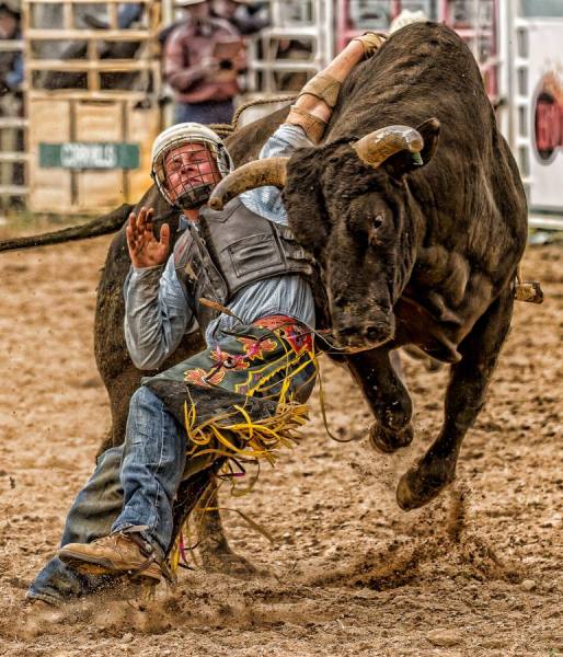 Photograph Steve Evans Bull Rider Two on One Eyeland