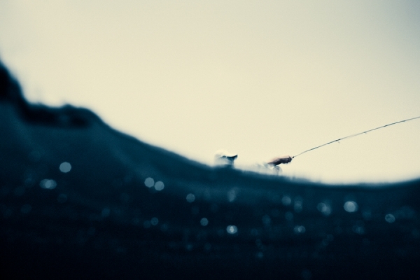 Photograph Christopher Wilson Fishing on One Eyeland