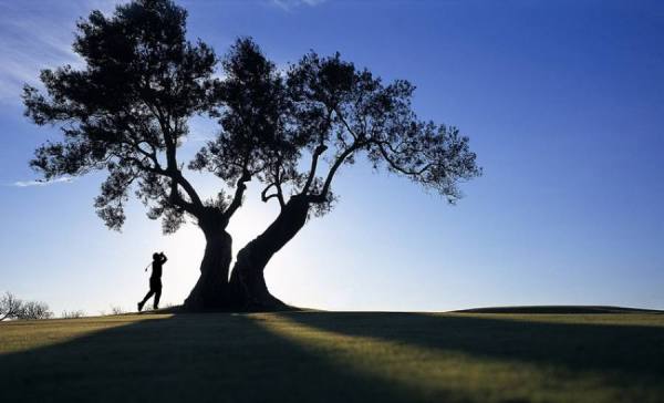 Photograph Craig Easton Golfer Portugal on One Eyeland