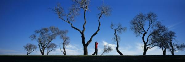 Photograph Craig Easton Golfer Portugal Ii on One Eyeland