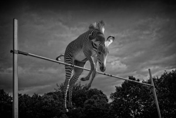 Photograph Tejo Coen High Jump on One Eyeland