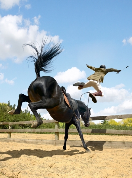 one_eyeland_horse_throwing_rider_by_colin_thomas_39803.jpg