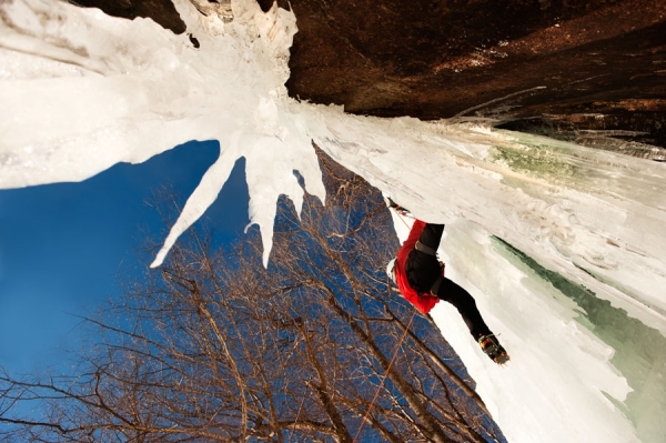 Photograph Laura Barisonzi Icicles From Below on One Eyeland