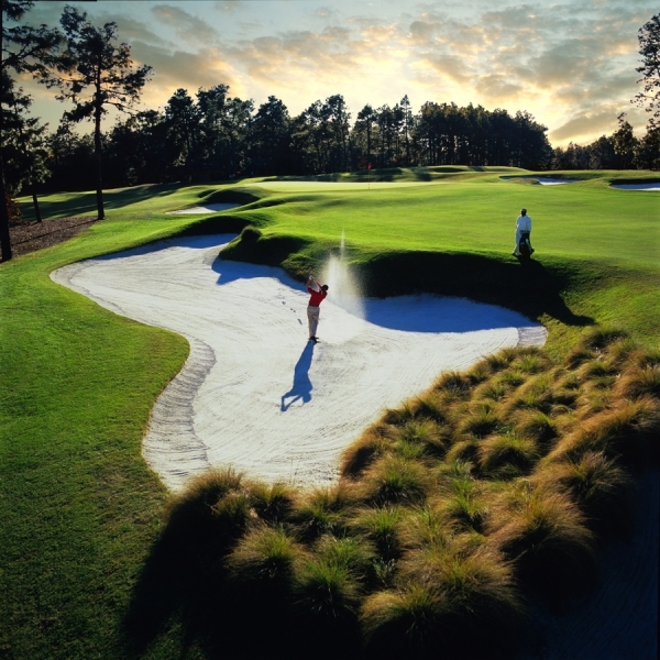 Photograph Chip Henderson Pinehurst Golf Course on One Eyeland