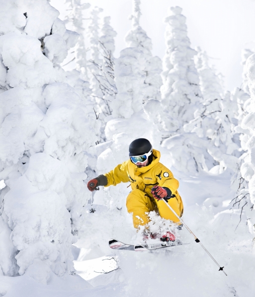 Photograph Daniel Desmarais Ski In The Mountain Of Gaspe Quebec on One Eyeland