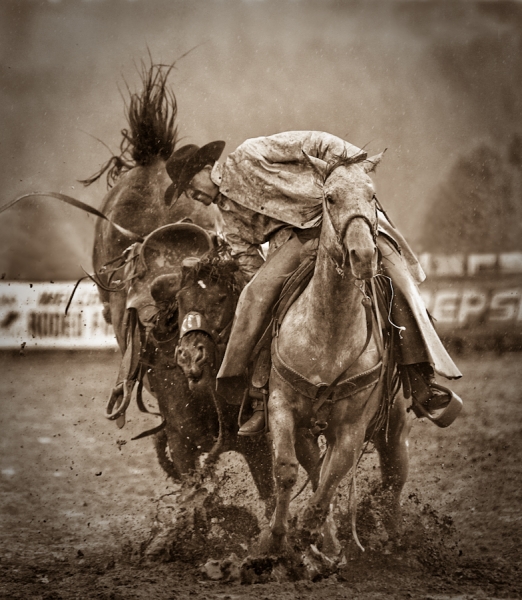 Photograph Bev Pettit Bronc Pickup Man on One Eyeland