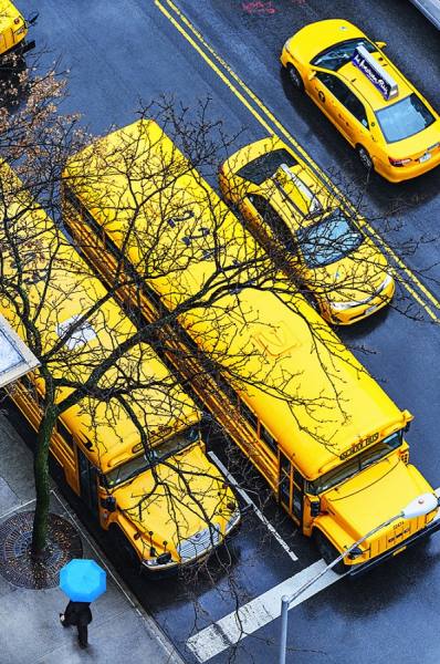Photograph Mitchell Funk Bus And Taxis From Above on One Eyeland