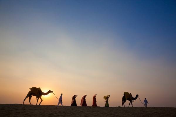 Photograph John Lund Camels And Dancers Rajasthan India on One Eyeland