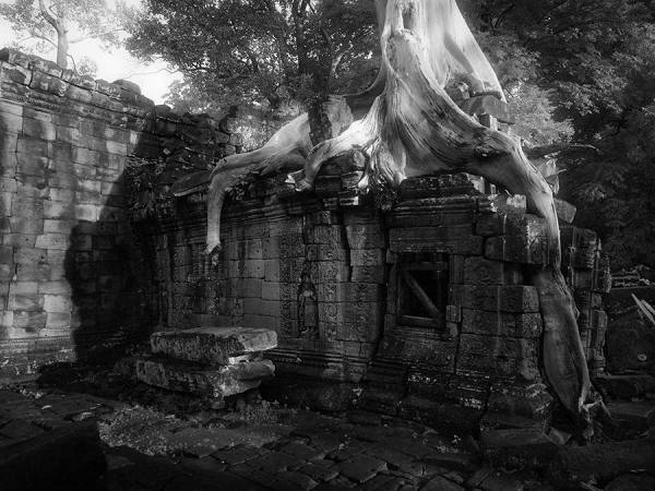 Photograph Suchet Suwanmongkol Angkor24 on One Eyeland