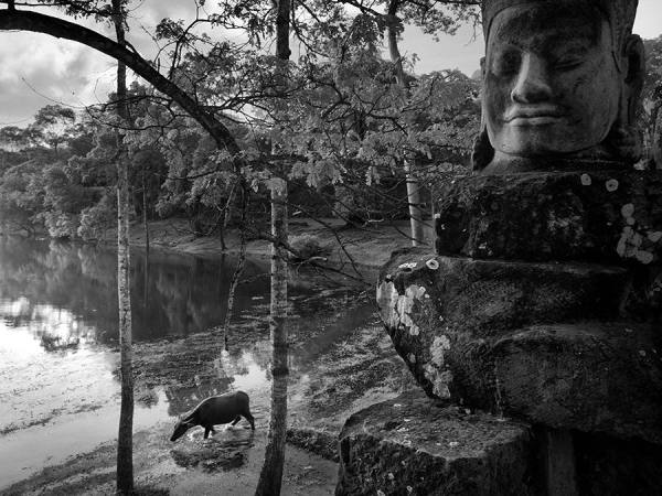 Photograph Suchet Suwanmongkol Angkor5 on One Eyeland