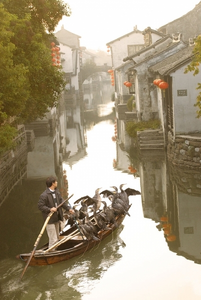 Photograph Nancy Brown Birdman In Zhouzhuan China on One Eyeland