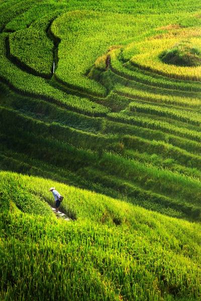 Photograph Suchet Suwanmongkol China 10 on One Eyeland