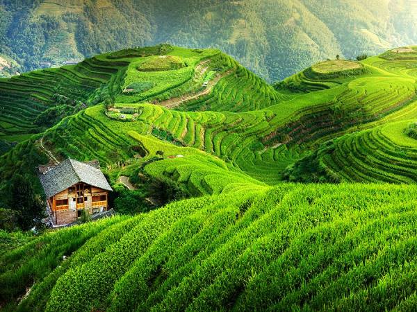 Photograph Suchet Suwanmongkol China 16 on One Eyeland