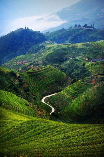 Photograph Suchet Suwanmongkol China 22 on One Eyeland