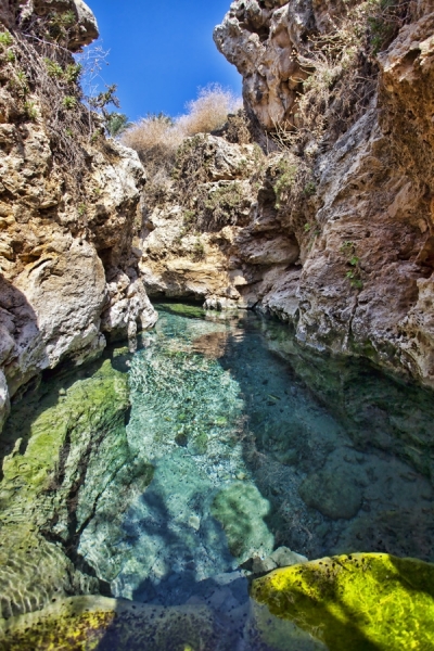 Photograph Mauro Risch Crystal River on One Eyeland