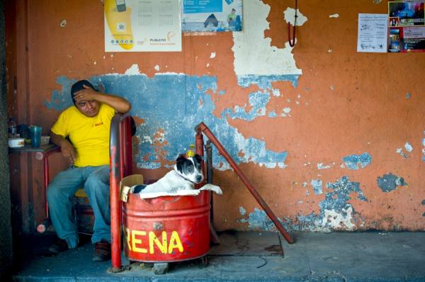 Photograph Valerie Leonard Doghouse on One Eyeland