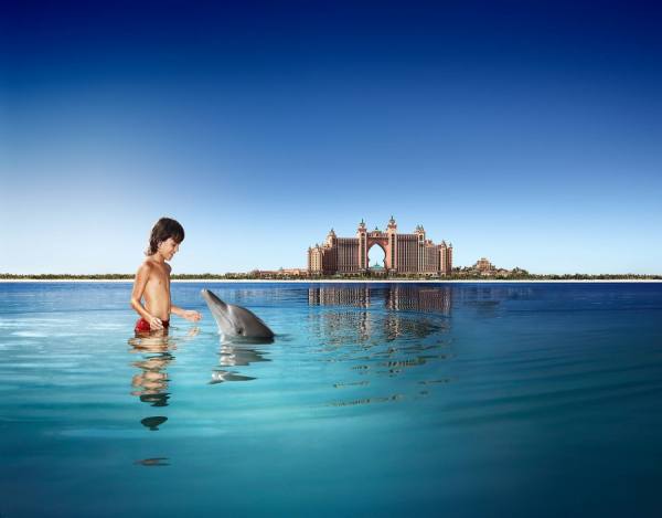 Photograph Karan Kapoor Dolphin on One Eyeland