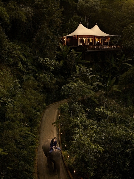 Photograph Dana Neibert Elephant Walk on One Eyeland