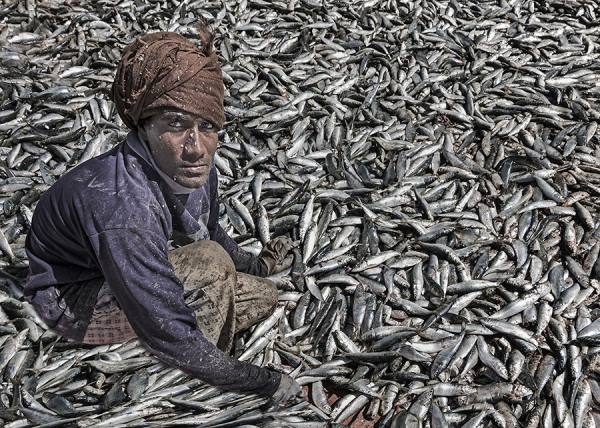 Photograph Majid Alamri Fisher5 on One Eyeland