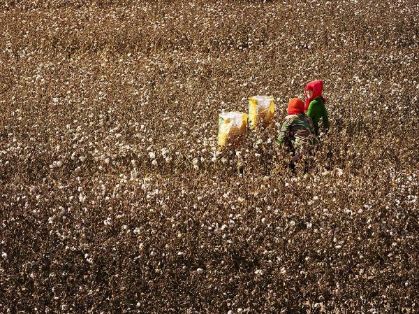 Photograph Suchet Suwanmongkol Inner Mongolia 19 on One Eyeland
