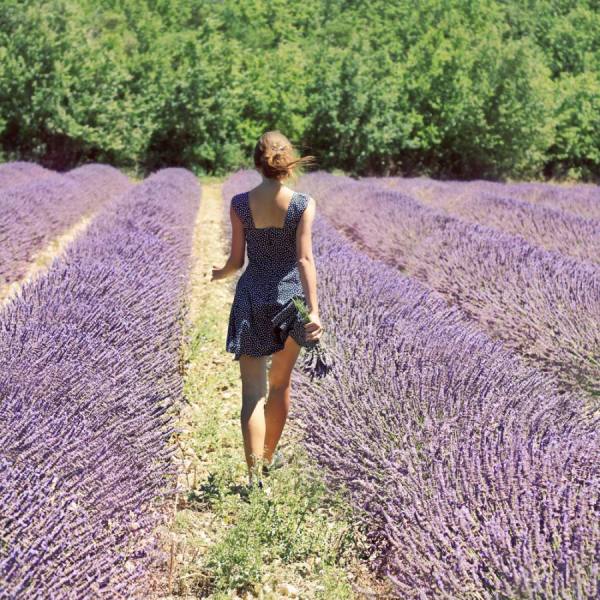 Photograph Madalina Cheregi Lavender Dreams on One Eyeland