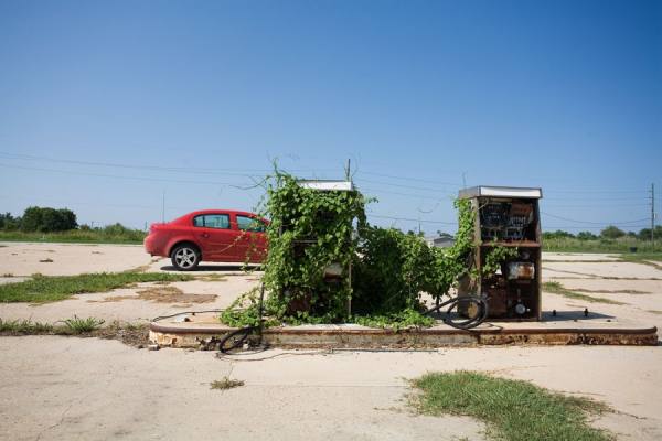Photograph Tony Gale Louisiana on One Eyeland