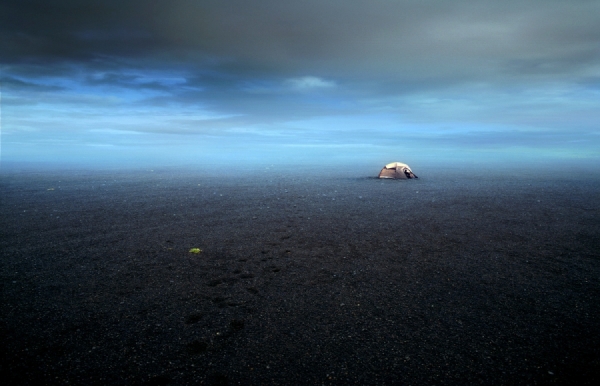 Photograph William Huber Marmot Black Sand on One Eyeland