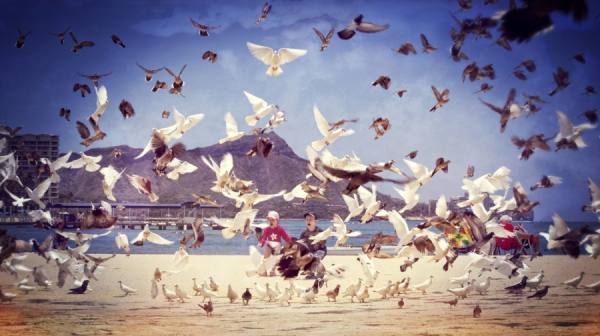 Photograph Dmitry Kiyono No Name on One Eyeland