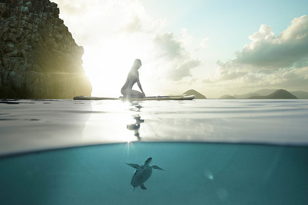 Photograph Dana Neibert Paddleboard With Turtle on One Eyeland