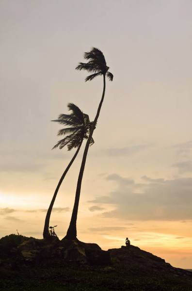 Photograph Andrew Lever Paradise on One Eyeland
