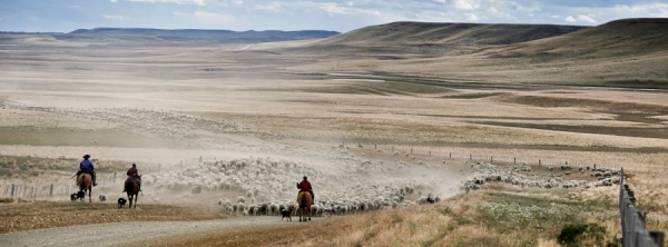 Photograph Marcos Furer Patagonia Landscape on One Eyeland