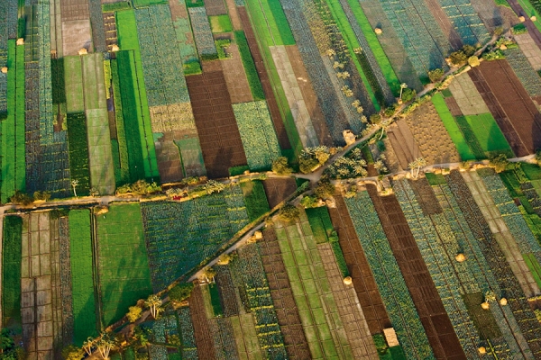 Photograph Michael Poliza Patchwork on One Eyeland