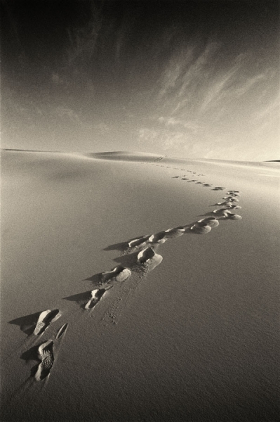 Photograph Lorne Resnick Sahara Desert on One Eyeland