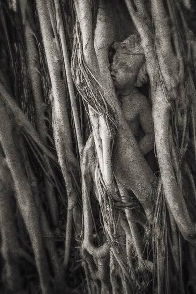 Photograph Tony Schanuel Secret World on One Eyeland