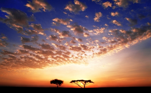Photograph Lorne Resnick Serengeti on One Eyeland