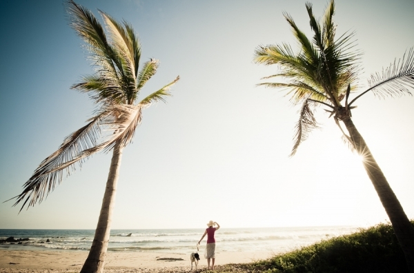Photograph Kevin Steele Tropical View on One Eyeland