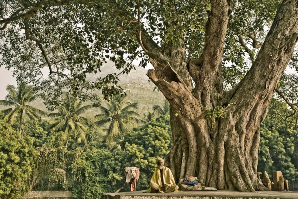 Photograph Damian Crook Tiru 0821 on One Eyeland