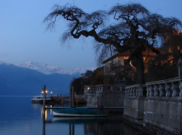 Photograph Maria Alejandra Jaimerena Weird Tree - Lake Orta on One Eyeland
