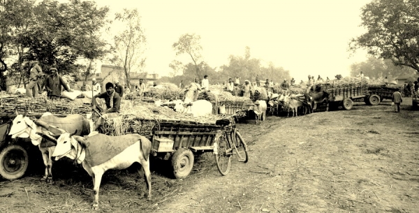 Photograph Prakash Rv An Eternal Wait - Sugar Mills Of Bihar on One Eyeland