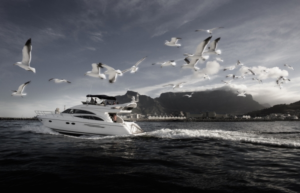 Photograph Derek Seaward Gulls on One Eyeland