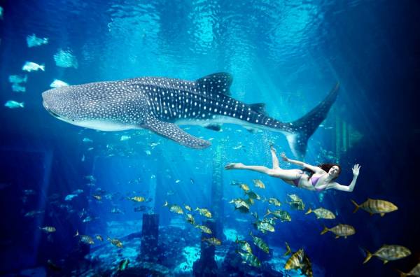 Photograph Karan Kapoor Atlantis on One Eyeland