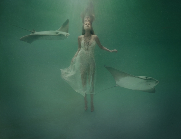Photograph Rebecca Handler Sting Ray on One Eyeland