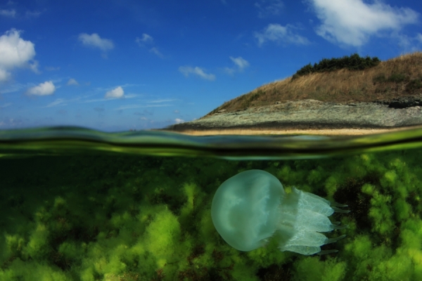 Photograph Ivan Bakardjiev The Space Between on One Eyeland