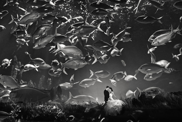 Photograph Vinny Labella Fishing Love Underwater on One Eyeland