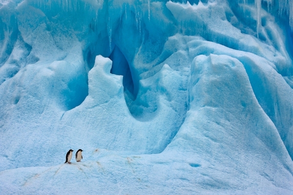 Photograph Michael Poliza Antarctic Park Bench on One Eyeland