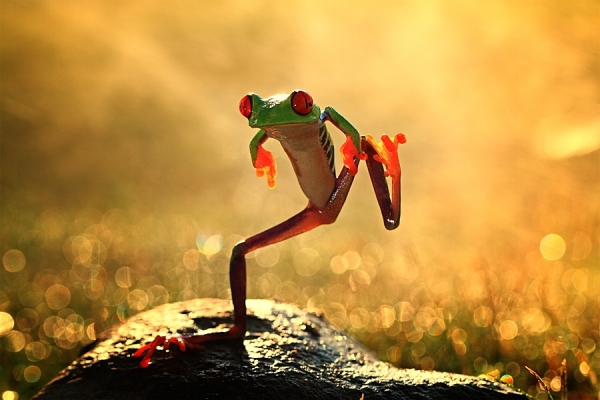 Photograph Shikhei Goh Dancing on One Eyeland