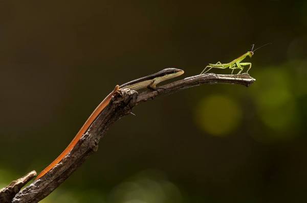 Photograph Robby Fakhriannur Deadlock on One Eyeland