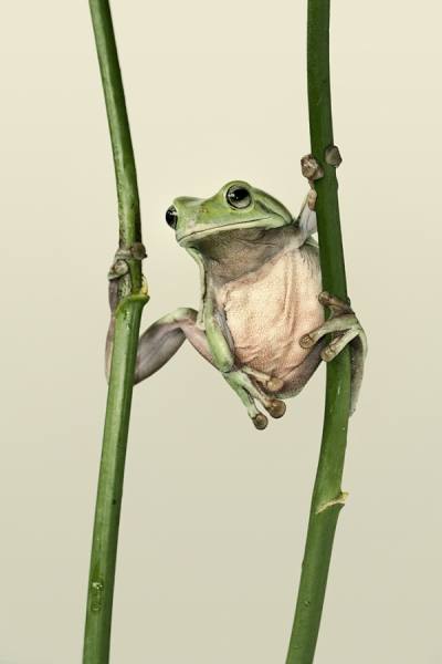 Photograph Lessy Sebastian Kungfu Master on One Eyeland