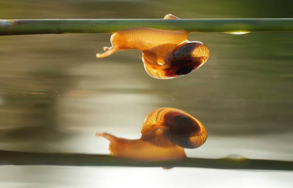 Photograph Shikhei Goh Racing on One Eyeland
